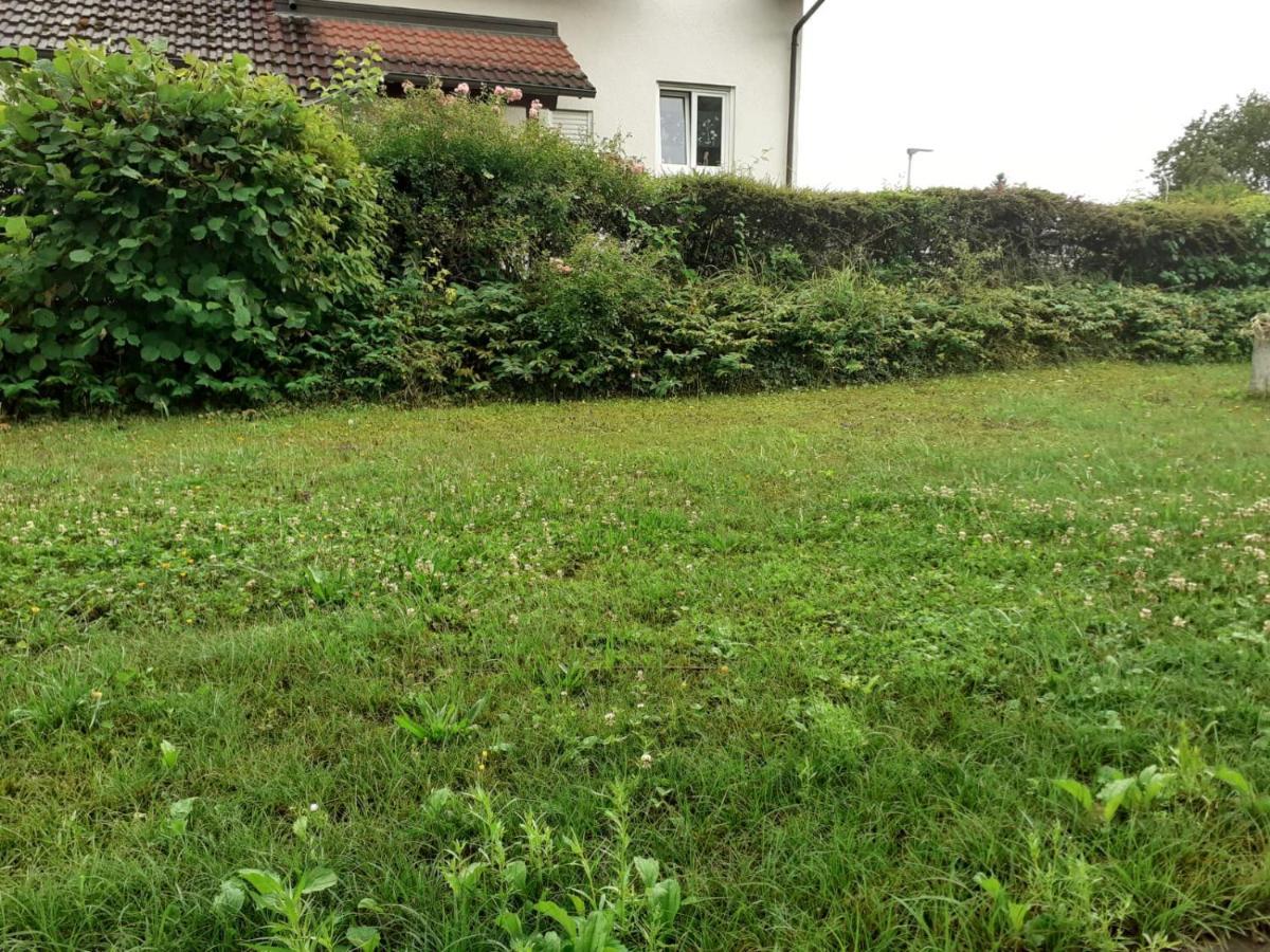 Ferienwohnung Am Kurpark, Gailingen Exterior foto